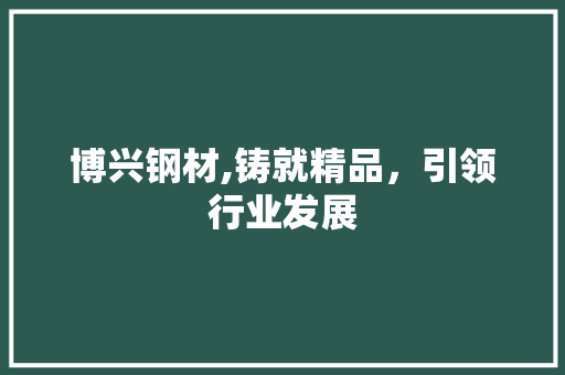 博兴钢材,铸就精品，引领行业发展