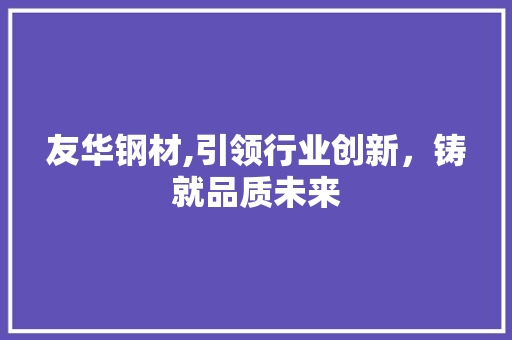 友华钢材,引领行业创新，铸就品质未来