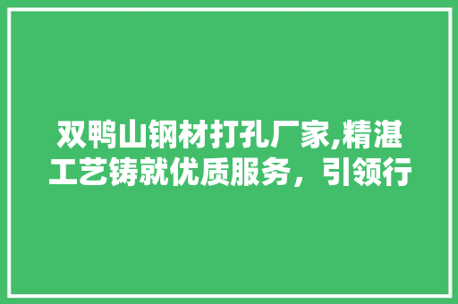 双鸭山钢材打孔厂家,精湛工艺铸就优质服务，引领行业新风尚