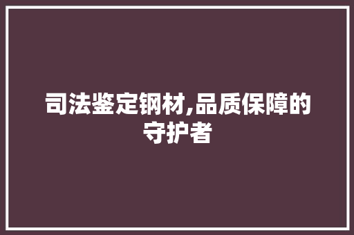 司法鉴定钢材,品质保障的守护者