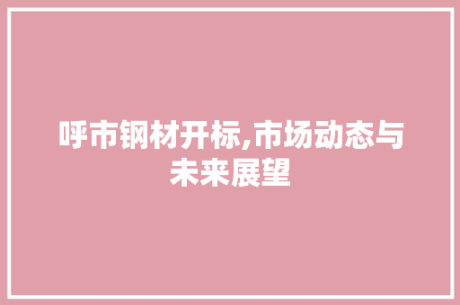 呼市钢材开标,市场动态与未来展望