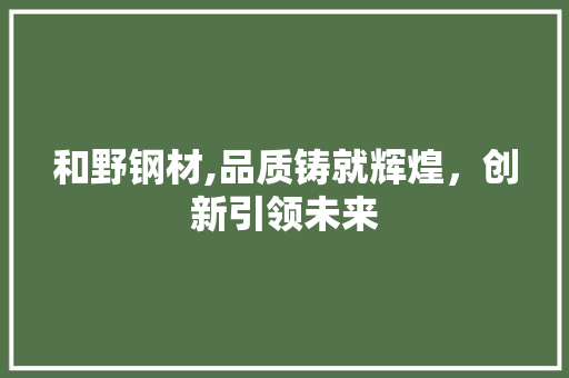 和野钢材,品质铸就辉煌，创新引领未来