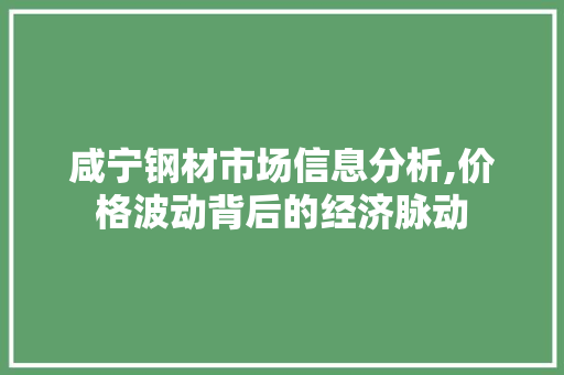 咸宁钢材市场信息分析,价格波动背后的经济脉动
