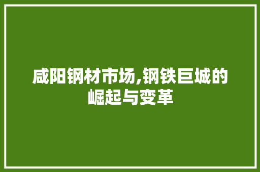 咸阳钢材市场,钢铁巨城的崛起与变革