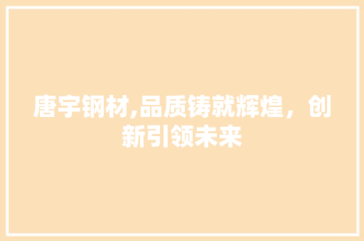 唐宇钢材,品质铸就辉煌，创新引领未来
