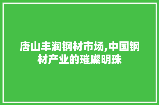 唐山丰润钢材市场,中国钢材产业的璀璨明珠