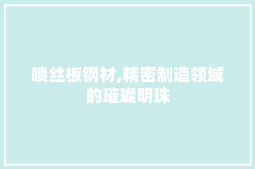 喷丝板钢材,精密制造领域的璀璨明珠