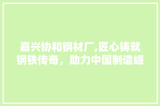 嘉兴协和钢材厂,匠心铸就钢铁传奇，助力中国制造崛起