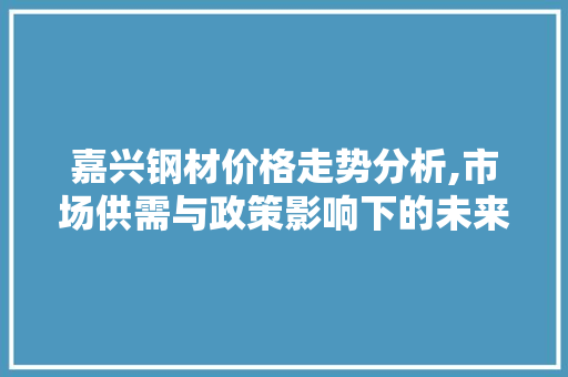 嘉兴钢材价格走势分析,市场供需与政策影响下的未来展望