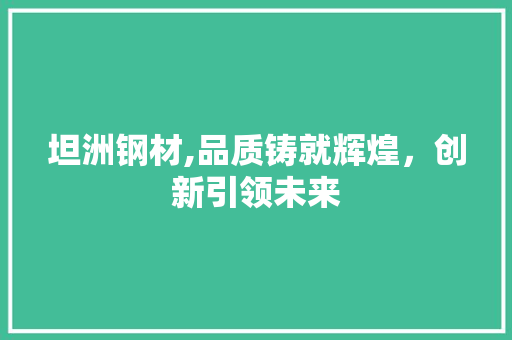 坦洲钢材,品质铸就辉煌，创新引领未来
