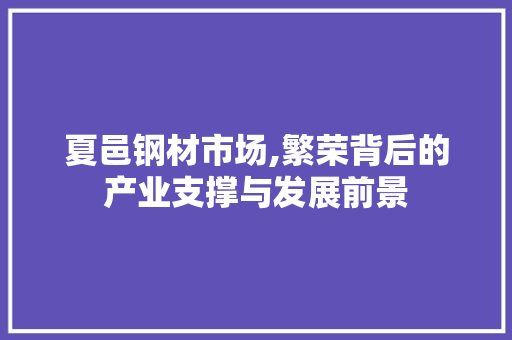 夏邑钢材市场,繁荣背后的产业支撑与发展前景