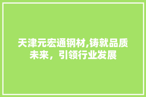 天津元宏通钢材,铸就品质未来，引领行业发展