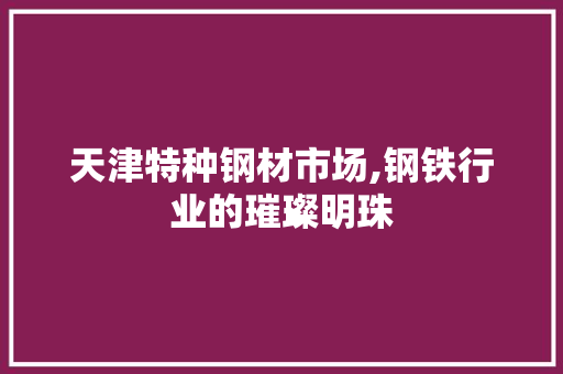 天津特种钢材市场,钢铁行业的璀璨明珠