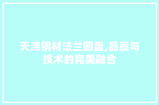 天津钢材法兰圆盘,品质与技术的完美融合