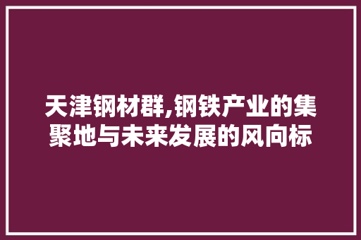 天津钢材群,钢铁产业的集聚地与未来发展的风向标