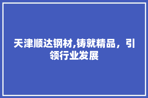 天津顺达钢材,铸就精品，引领行业发展