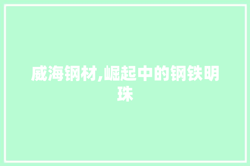 威海钢材,崛起中的钢铁明珠