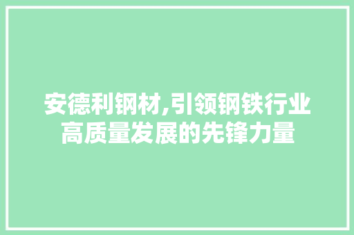 安德利钢材,引领钢铁行业高质量发展的先锋力量