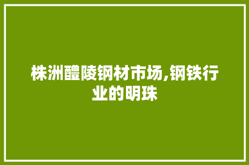 株洲醴陵钢材市场,钢铁行业的明珠