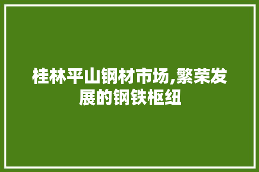 桂林平山钢材市场,繁荣发展的钢铁枢纽