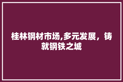 桂林钢材市场,多元发展，铸就钢铁之城