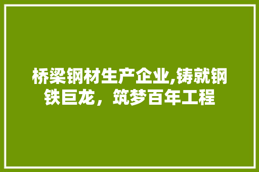 桥梁钢材生产企业,铸就钢铁巨龙，筑梦百年工程