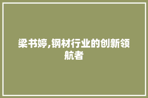 梁书婷,钢材行业的创新领航者