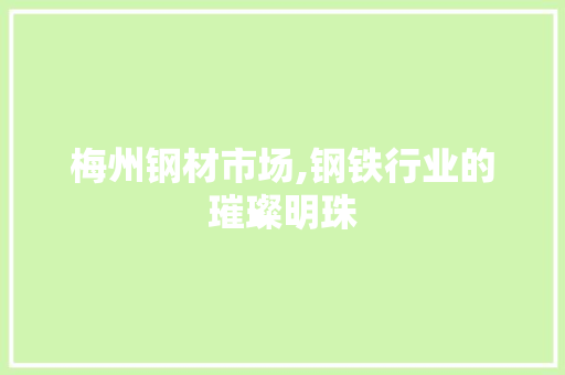 梅州钢材市场,钢铁行业的璀璨明珠