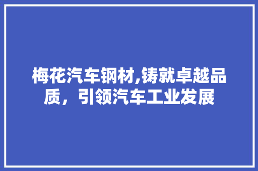 梅花汽车钢材,铸就卓越品质，引领汽车工业发展