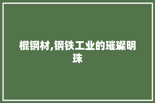 棍钢材,钢铁工业的璀璨明珠