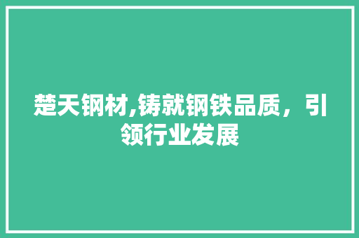 楚天钢材,铸就钢铁品质，引领行业发展
