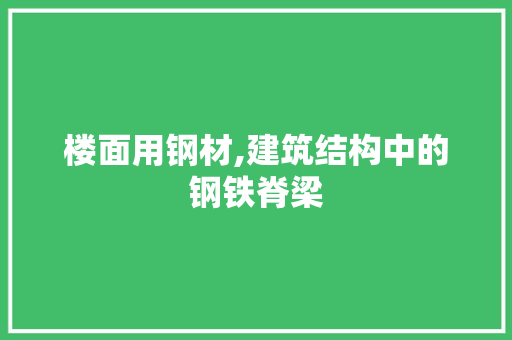 楼面用钢材,建筑结构中的钢铁脊梁
