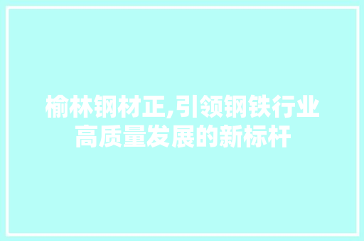 榆林钢材正,引领钢铁行业高质量发展的新标杆