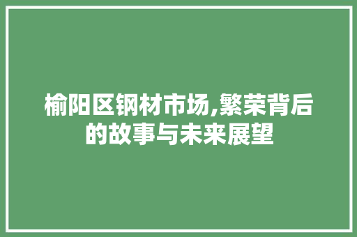 榆阳区钢材市场,繁荣背后的故事与未来展望