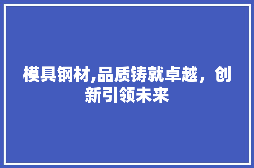 模具钢材,品质铸就卓越，创新引领未来