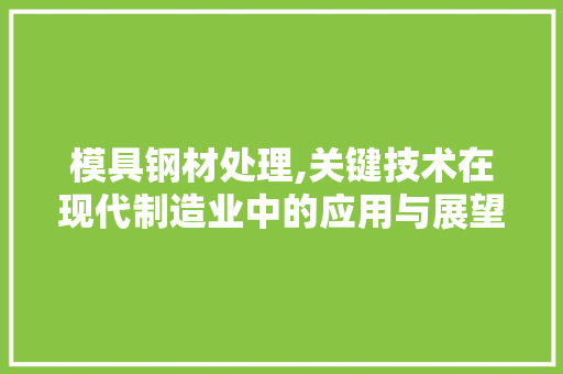 模具钢材处理,关键技术在现代制造业中的应用与展望