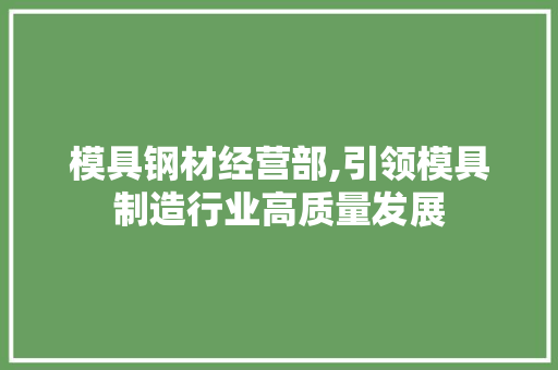 模具钢材经营部,引领模具制造行业高质量发展