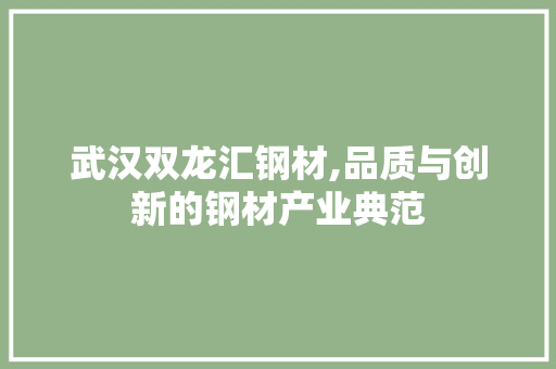 武汉双龙汇钢材,品质与创新的钢材产业典范