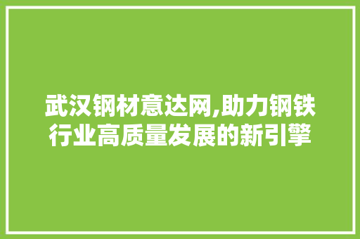 武汉钢材意达网,助力钢铁行业高质量发展的新引擎