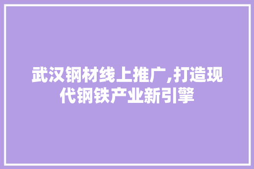 武汉钢材线上推广,打造现代钢铁产业新引擎