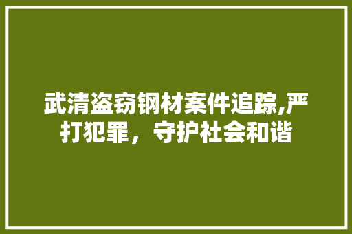 武清盗窃钢材案件追踪,严打犯罪，守护社会和谐