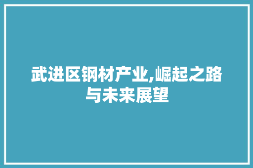 武进区钢材产业,崛起之路与未来展望