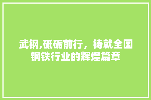 武钢,砥砺前行，铸就全国钢铁行业的辉煌篇章