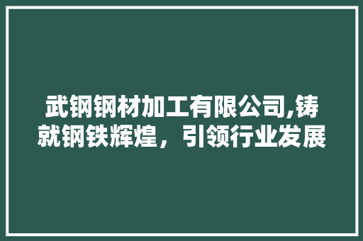武钢钢材加工有限公司,铸就钢铁辉煌，引领行业发展