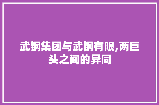 武钢集团与武钢有限,两巨头之间的异同