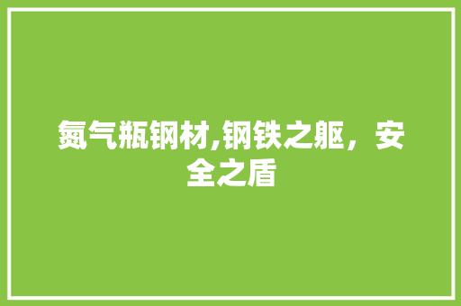 氮气瓶钢材,钢铁之躯，安全之盾