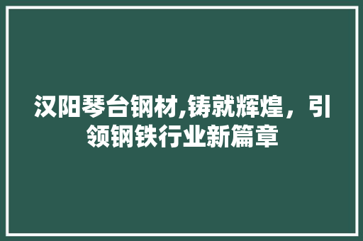 汉阳琴台钢材,铸就辉煌，引领钢铁行业新篇章