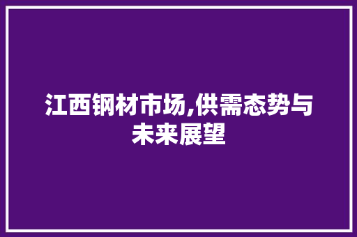 江西钢材市场,供需态势与未来展望