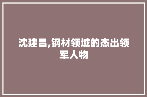 沈建昌,钢材领域的杰出领军人物