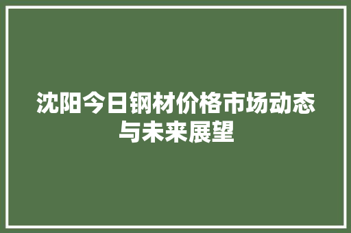 沈阳今日钢材价格市场动态与未来展望